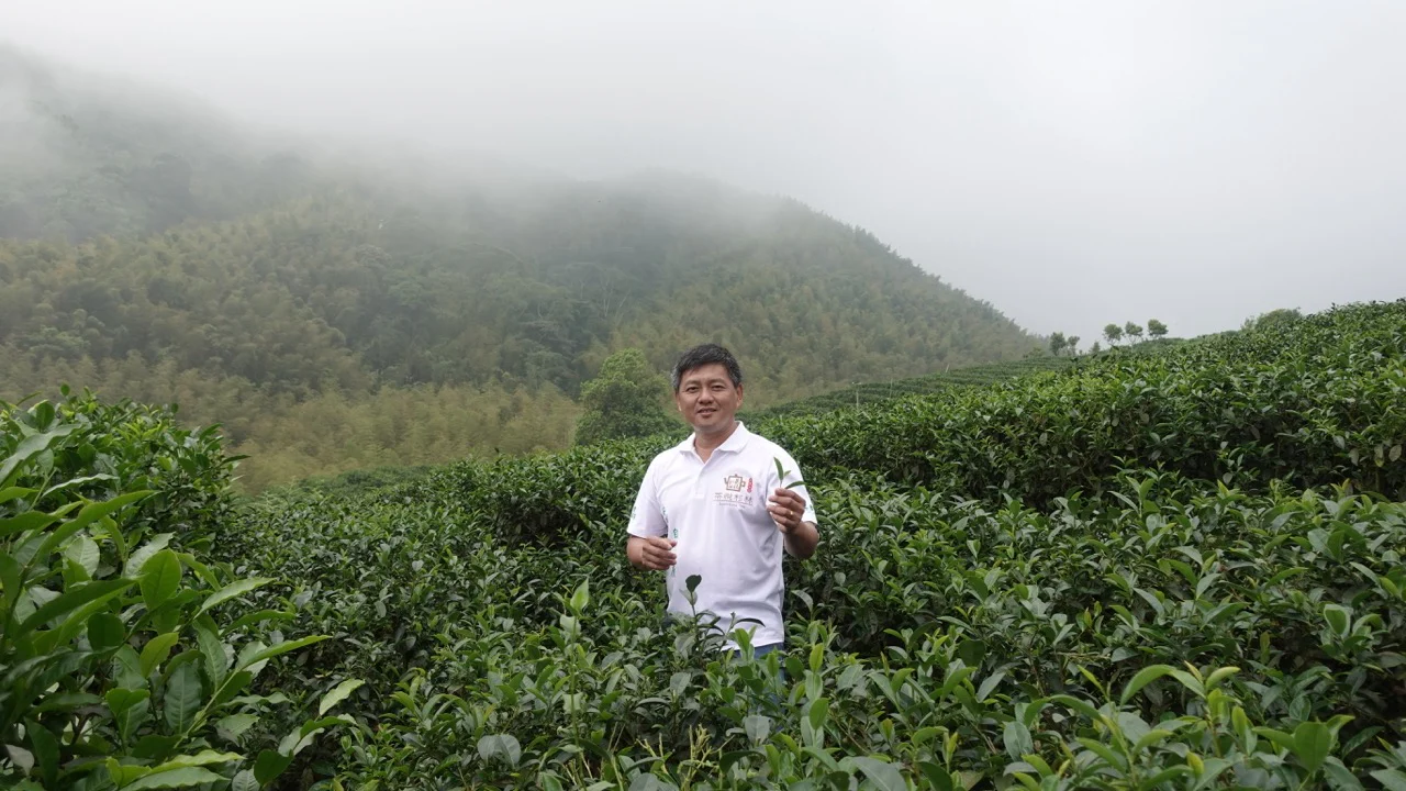 Exuding Jade #22 - Image 6
