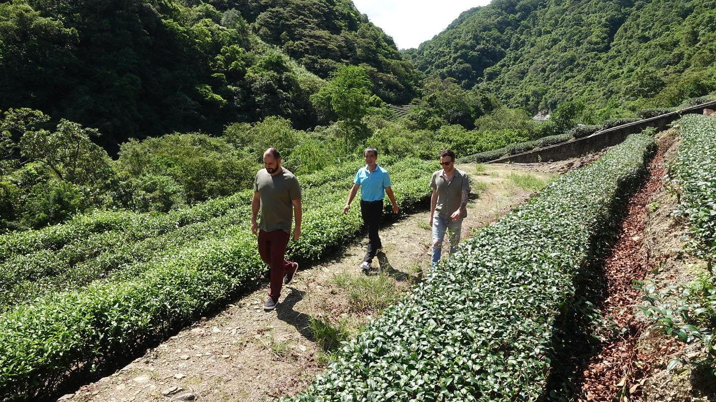 Mr. Liang's Huang Jin Gui - Image 6