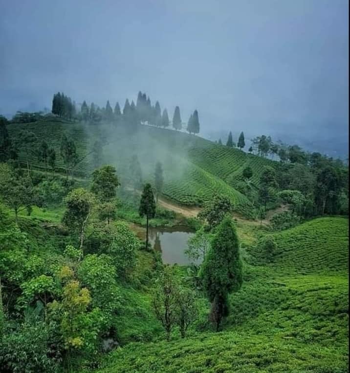Nepal White - Image 6