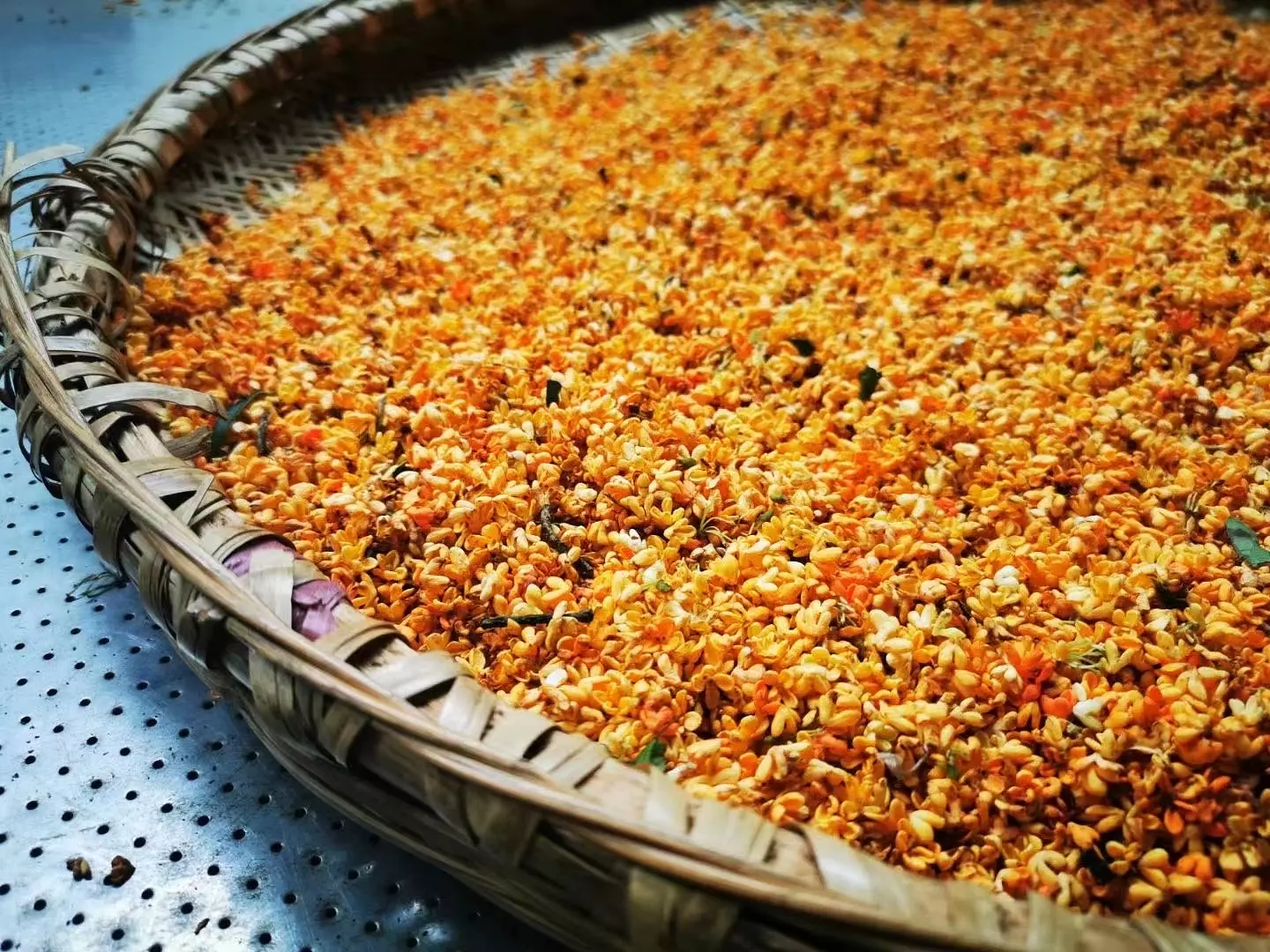 Osmanthus Flower - Image 4