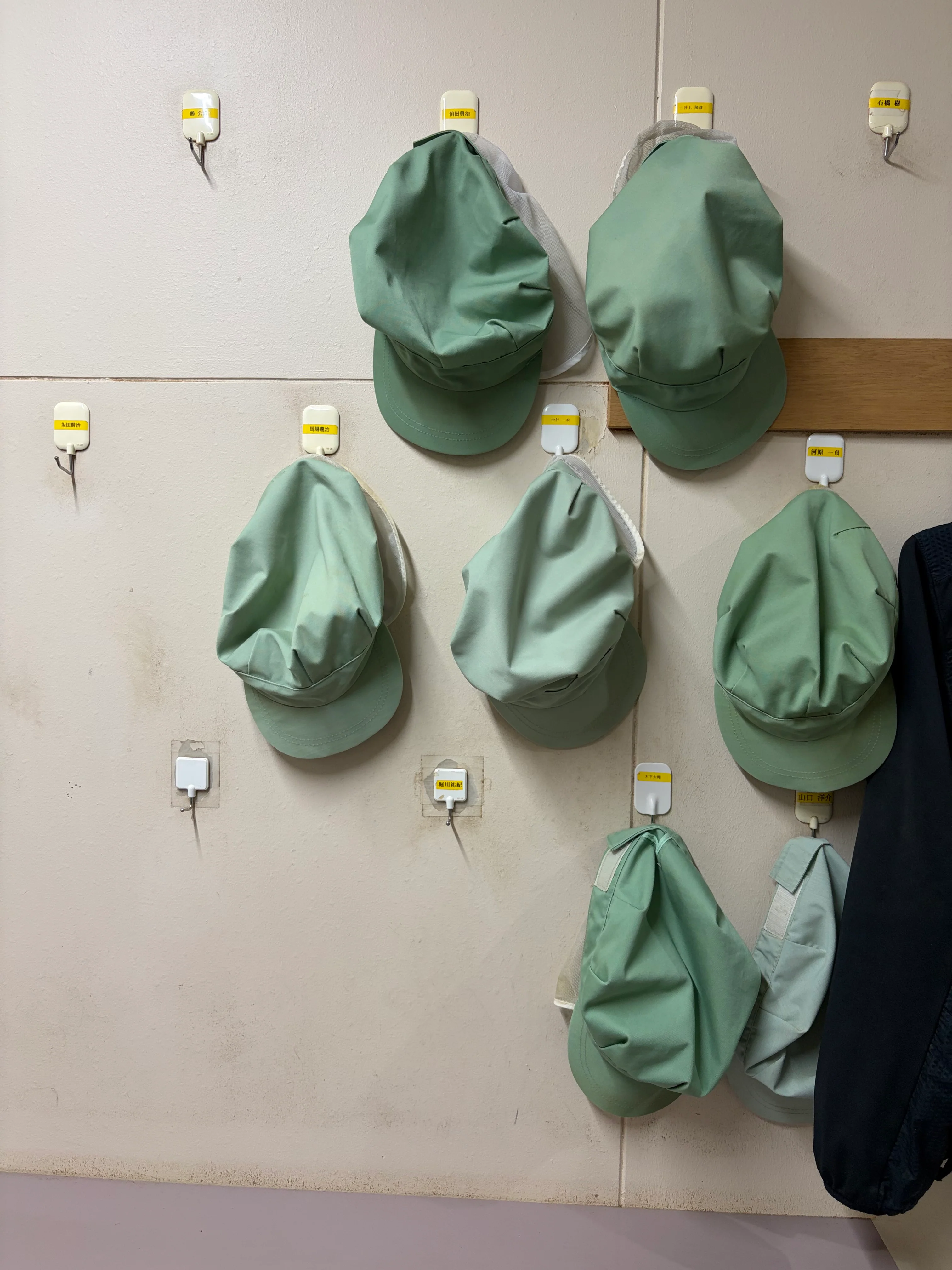 Kodemari Matcha - Image 6